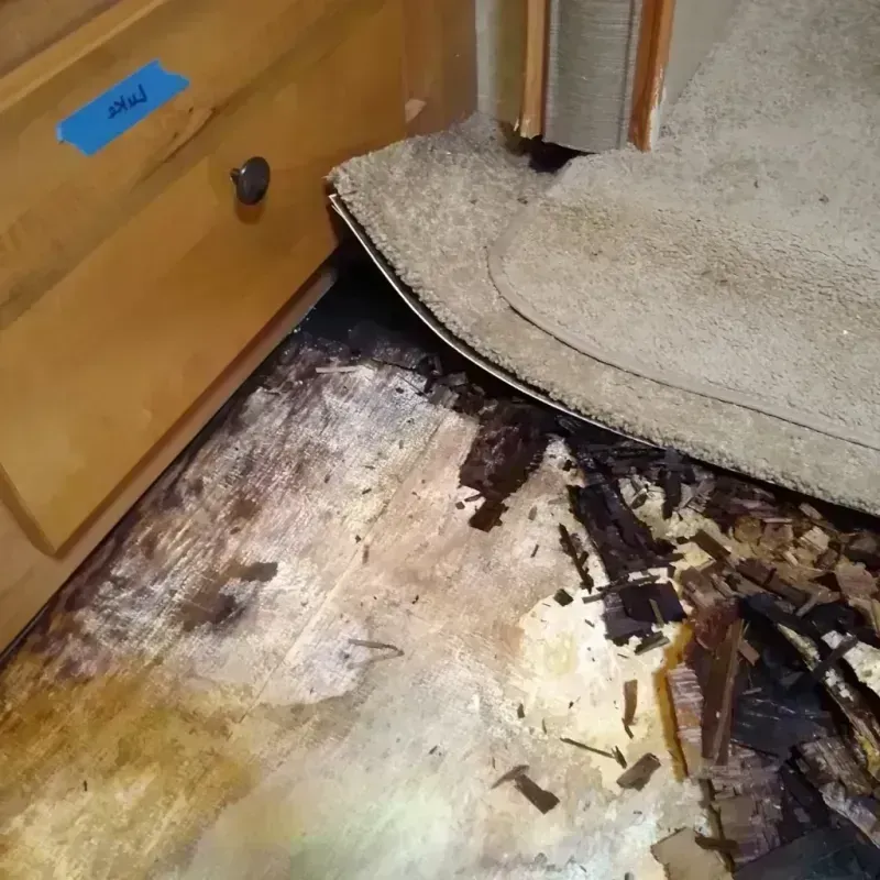 Wood Floor Water Damage in Richmond West, FL